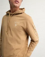 AE Lightweight Icon Logo Graphic Hoodie T-Shirt