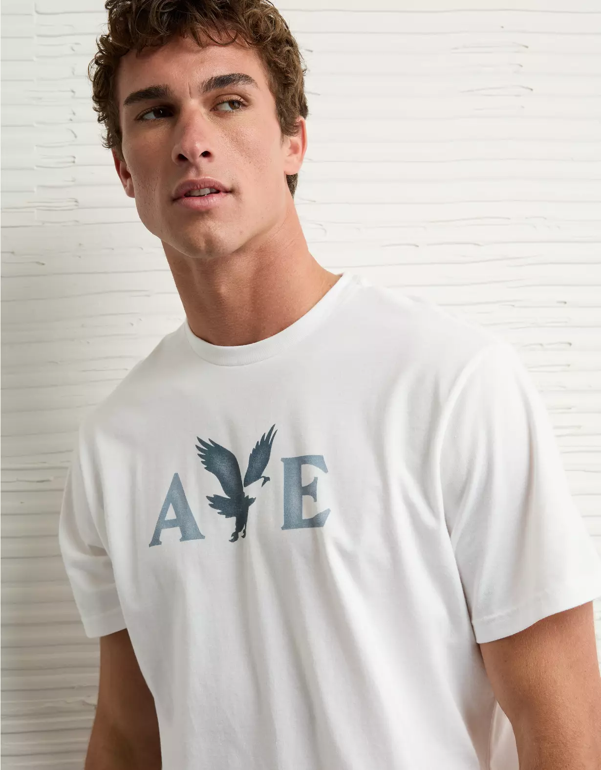 AE Lightweight Icon Logo Graphic T-Shirt